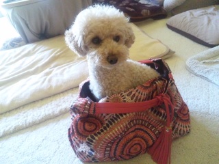 ��Bag