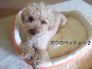 New�x�b�h�B