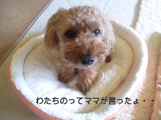 �o�����񂪁E�E
