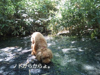 �O�����B