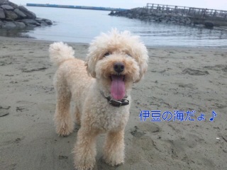 �ɓ��B