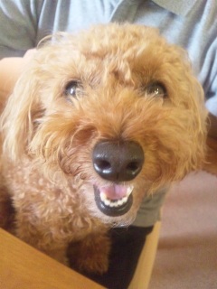 ���@���`��