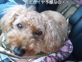 �o������́E�E