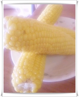 �����͂�B